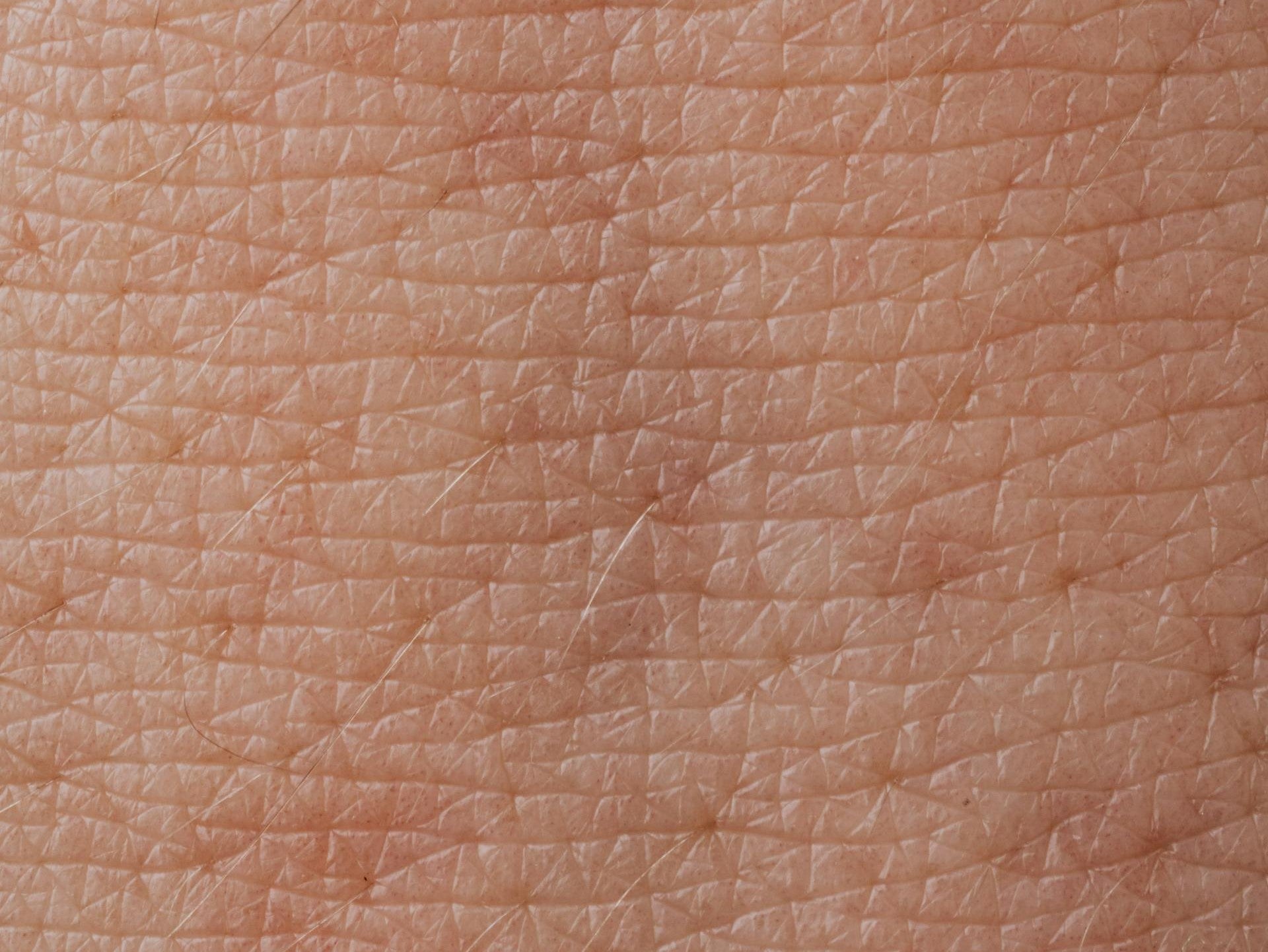 Liquid error (sections/article line 41): invalid url input